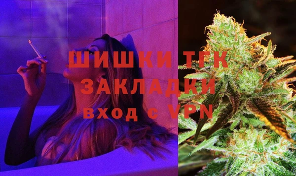 спиды Аркадак