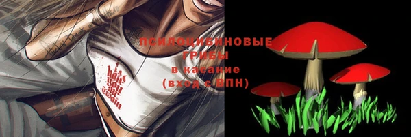 спиды Аркадак