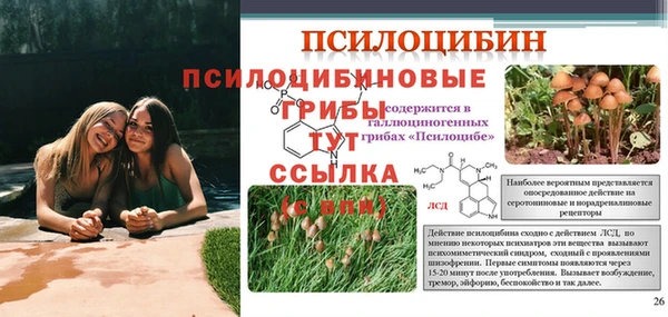 марихуана Арсеньев