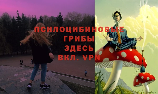 спиды Аркадак