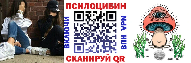 Псилоцибиновые грибы Psilocybe  Полярный 
