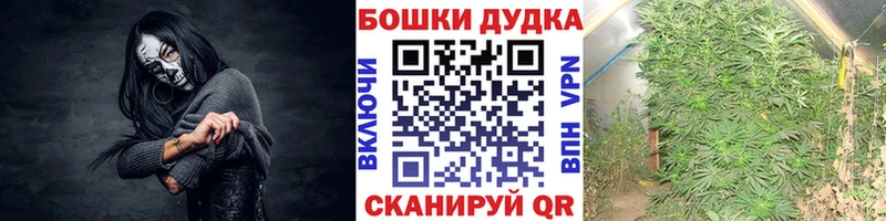Марихуана индика Полярный